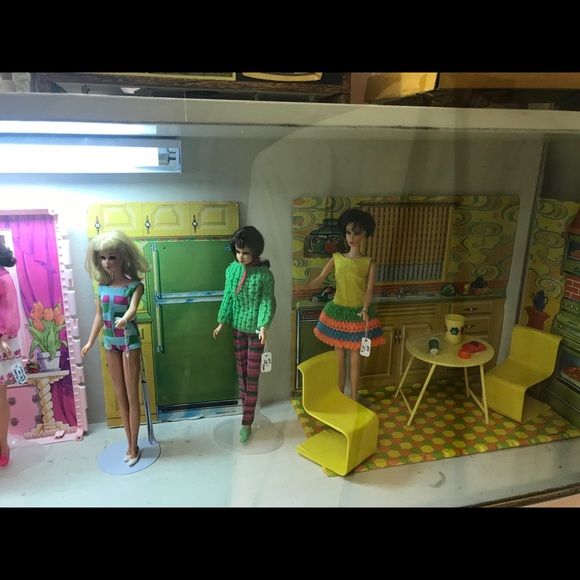 Meet your Posher, Robin - Picture 6 of 6